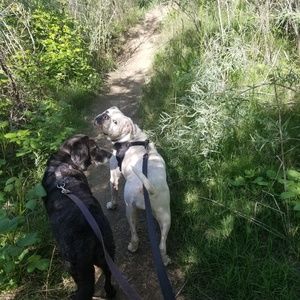 Meet your Posher, Daryl